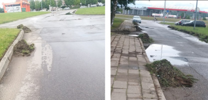 kelkraščiai.jpg