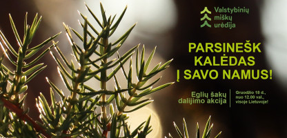 Pagrindinis-vizualas-dalijamos eglės.jpg