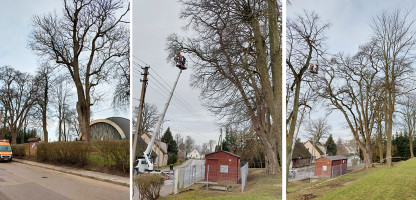 vinkšna.jpg