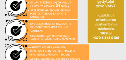 SNL liga (1).jpg