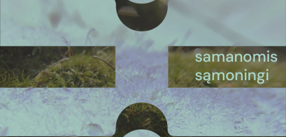 ĮVAIZDINIS FB, IG POST.png