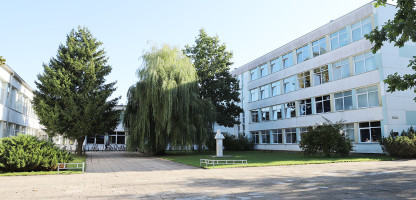 bazinė.jpg