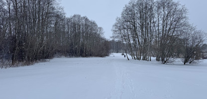 IMG_3055.jpeg