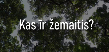 Kas yra žemaitis.jpg