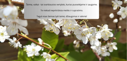 Vaiko, šeimos diena.jpg