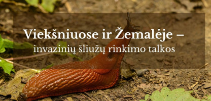 Nenaudojamų, apleistų kitos paskirties žemės sklypų Mažeikių seniūnijoje preliminarus sąrašas (3).jpg