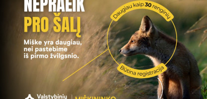 Miškininko diena.jpg